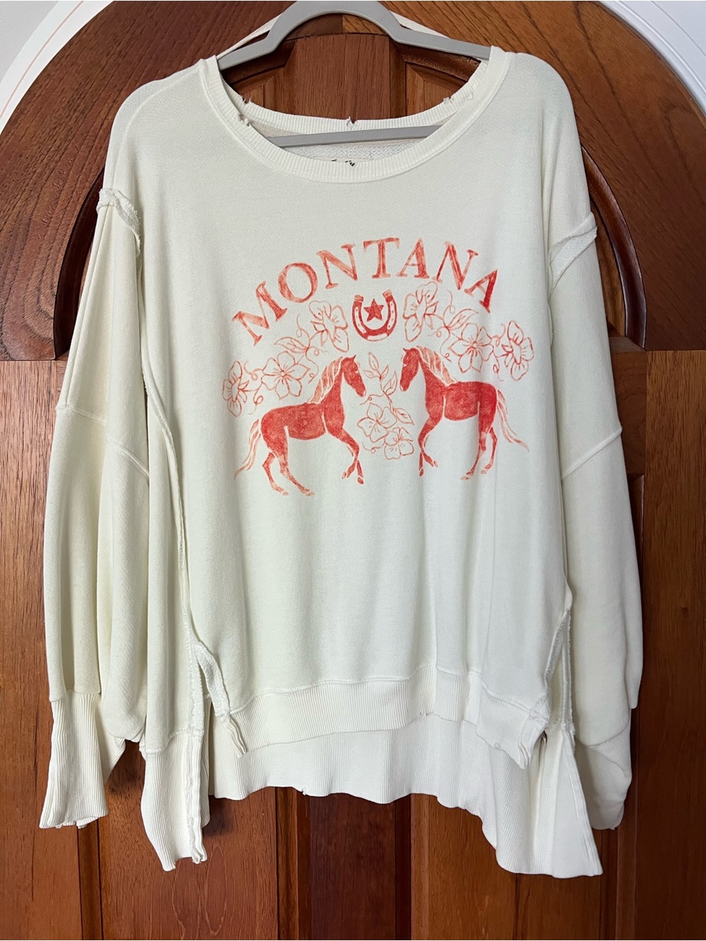 Free People We The Free Graphic Camden Sweatshirt Montana Size Small RT $98